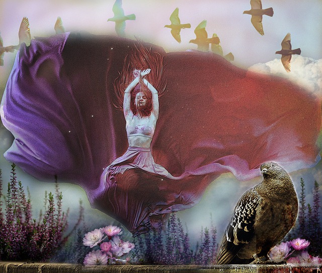 不仅吸引了 不仅吸引了