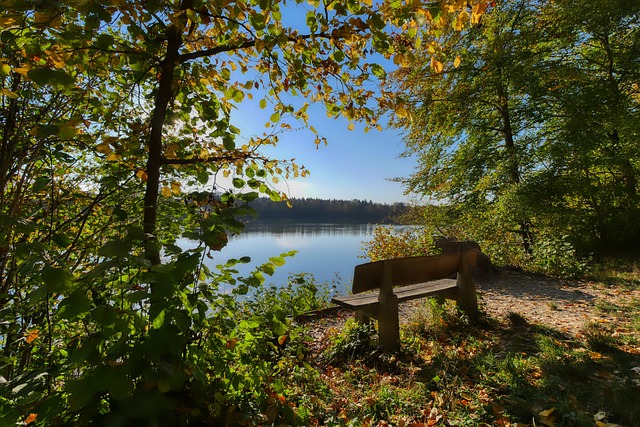 活力江苏 活力江苏