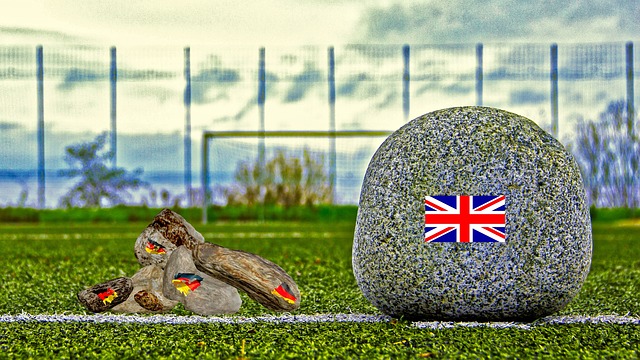 育实力的体 育实力的体